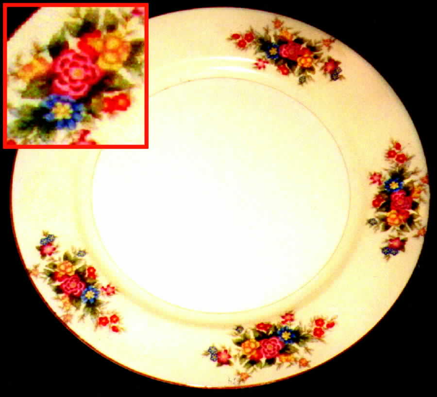 TAO1 Dinner Plate by Taico-1