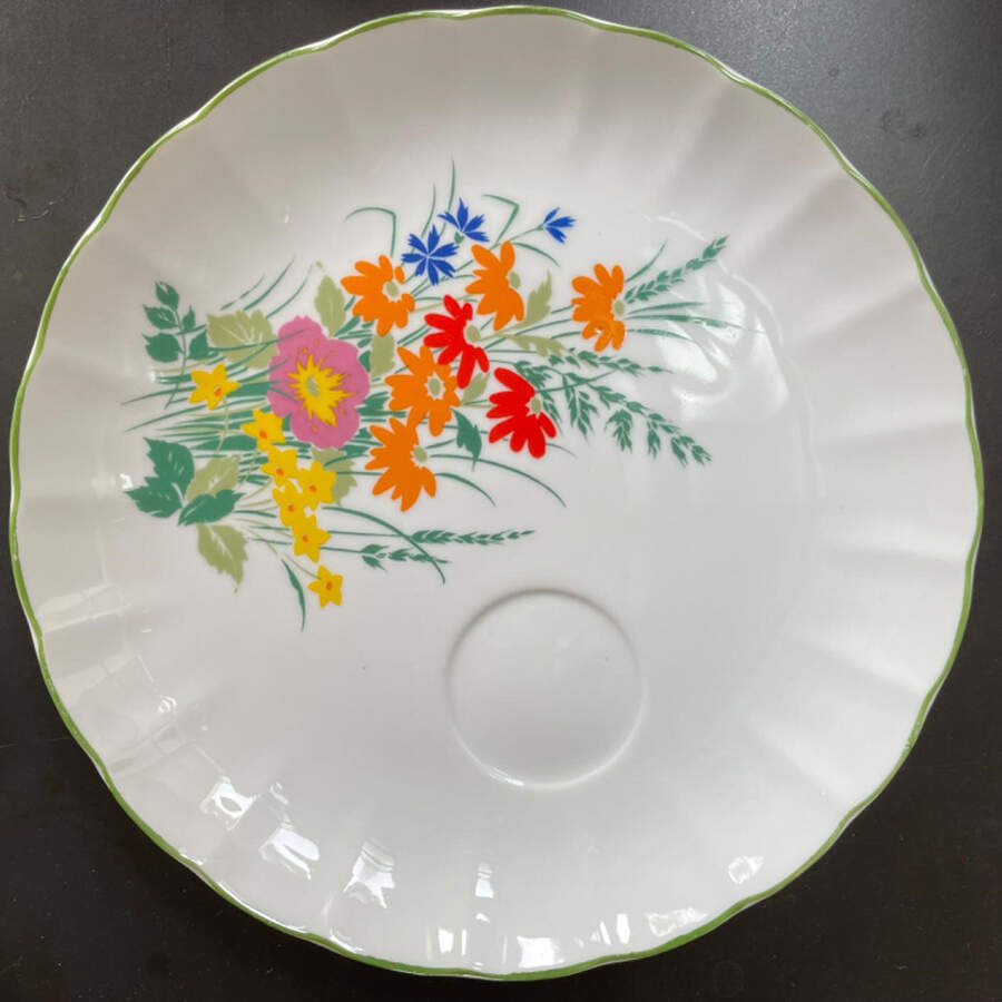 TAS2 Snack Plate by Taste Setter-1