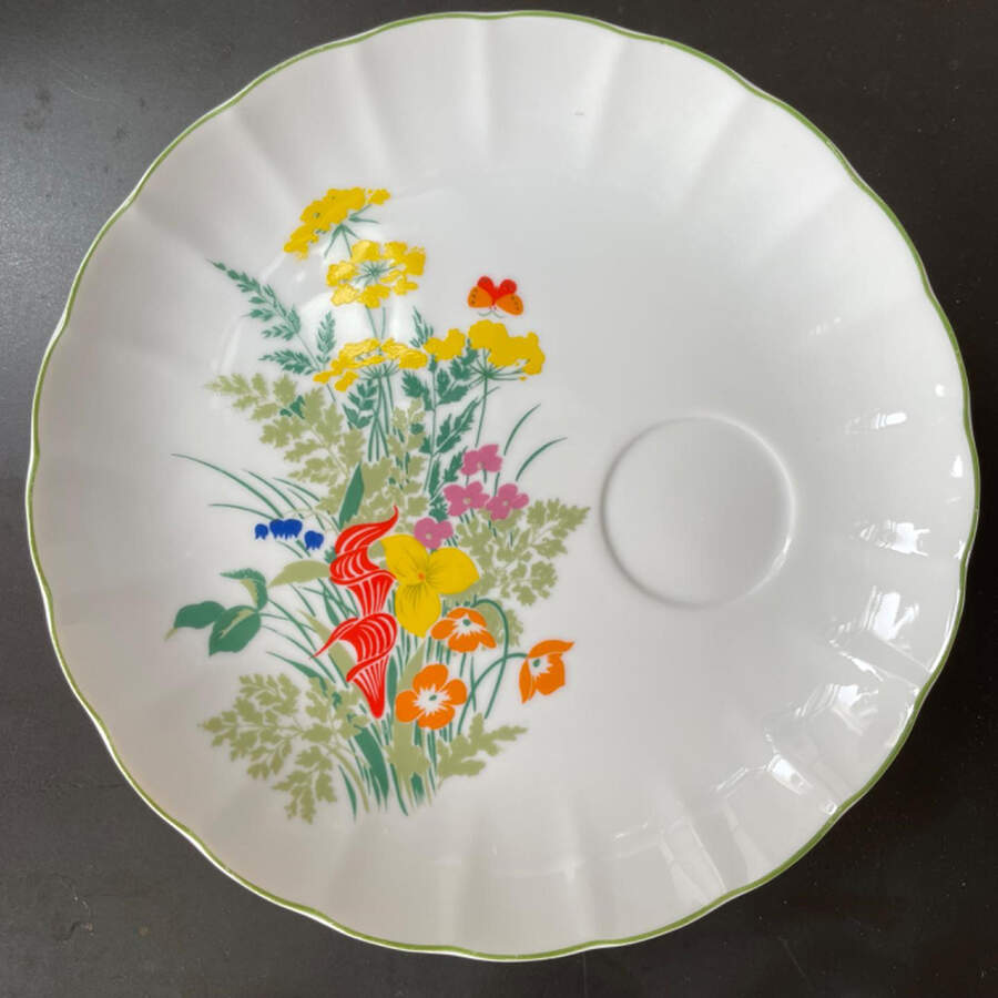 TAS2 Snack Plate by Taste Setter-1