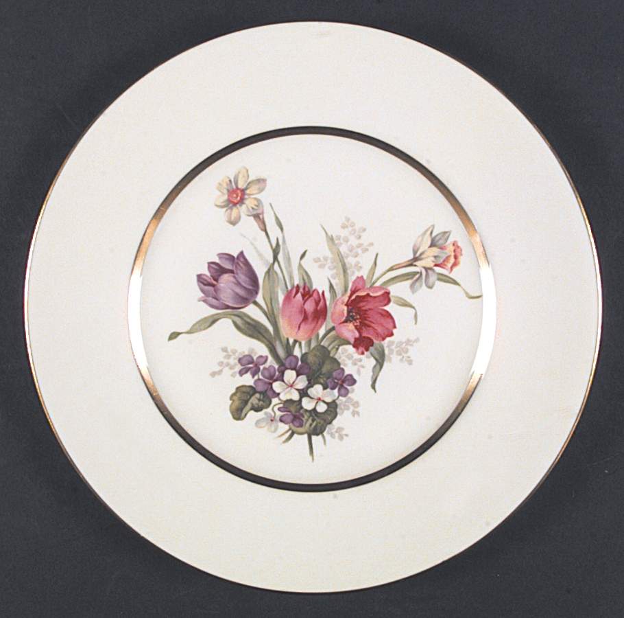 TAT13 Dinner Plate by Tatler of Trenton-1
