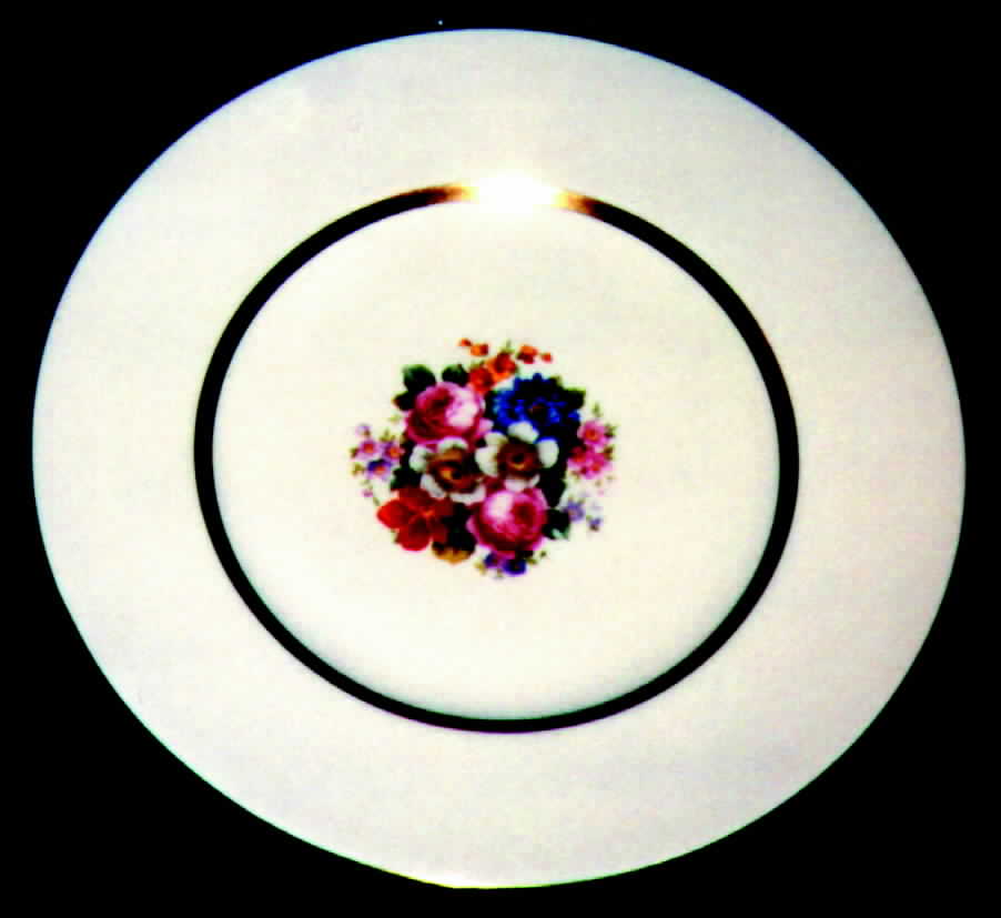 TAT14 Dinner Plate by Tatler of Trenton-1