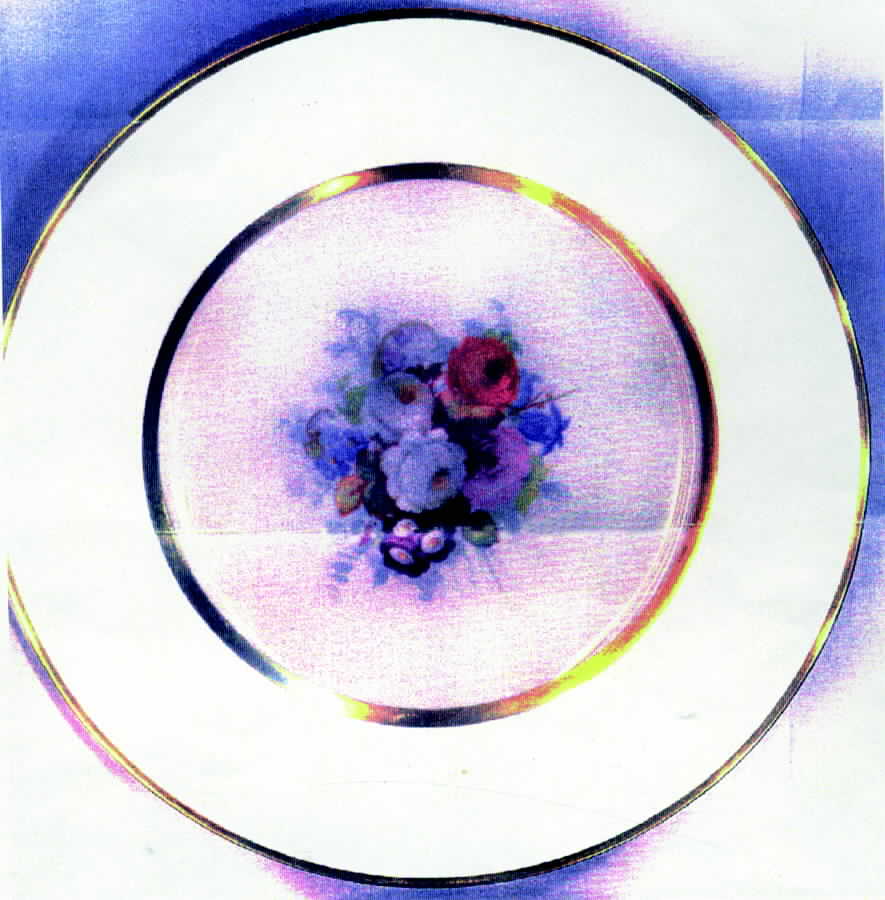 TAT6 Salad Plate by Tatler of Trenton-1