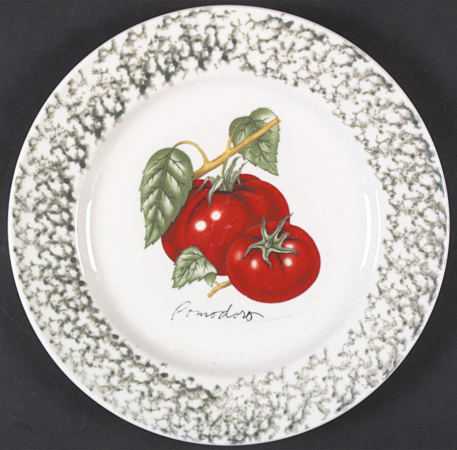 Fresco Dinner Plate by Tabletops Unlimited-1