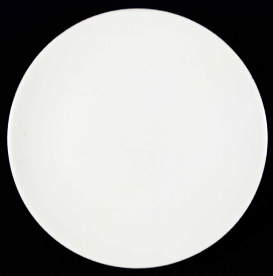 Terris White Dinner Plate by Peter Terris-1