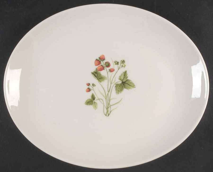Wild Strawberry 11" Oval Serving Platter by Peter Terris-1