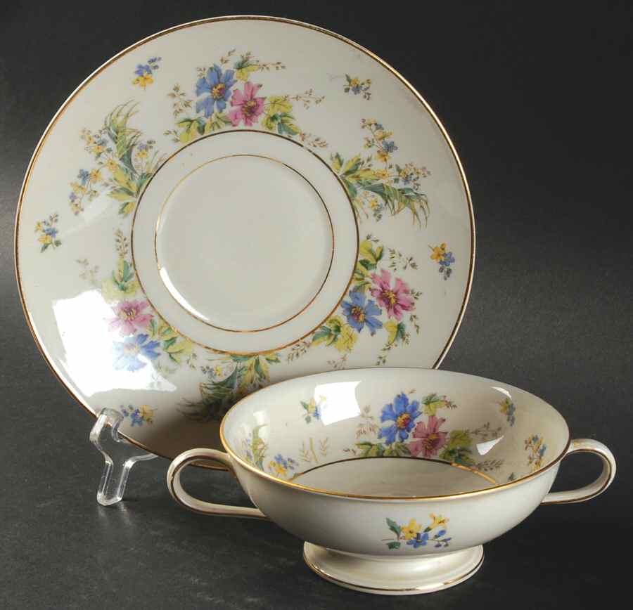 04491 (Cream Background) Footed Cream Soup Bowl & Saucer Set by Thomas-1