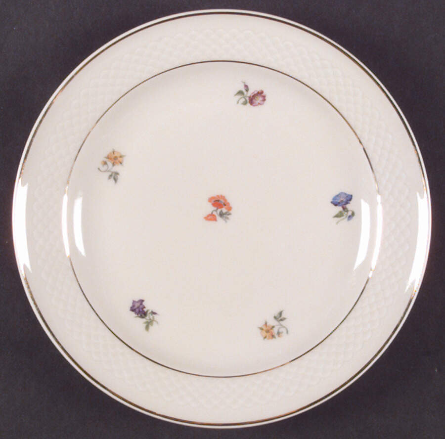 07053 Salad Plate by Thomas-1