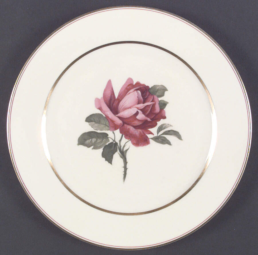 07360 (Cream Background) Dinner Plate by Thomas-1