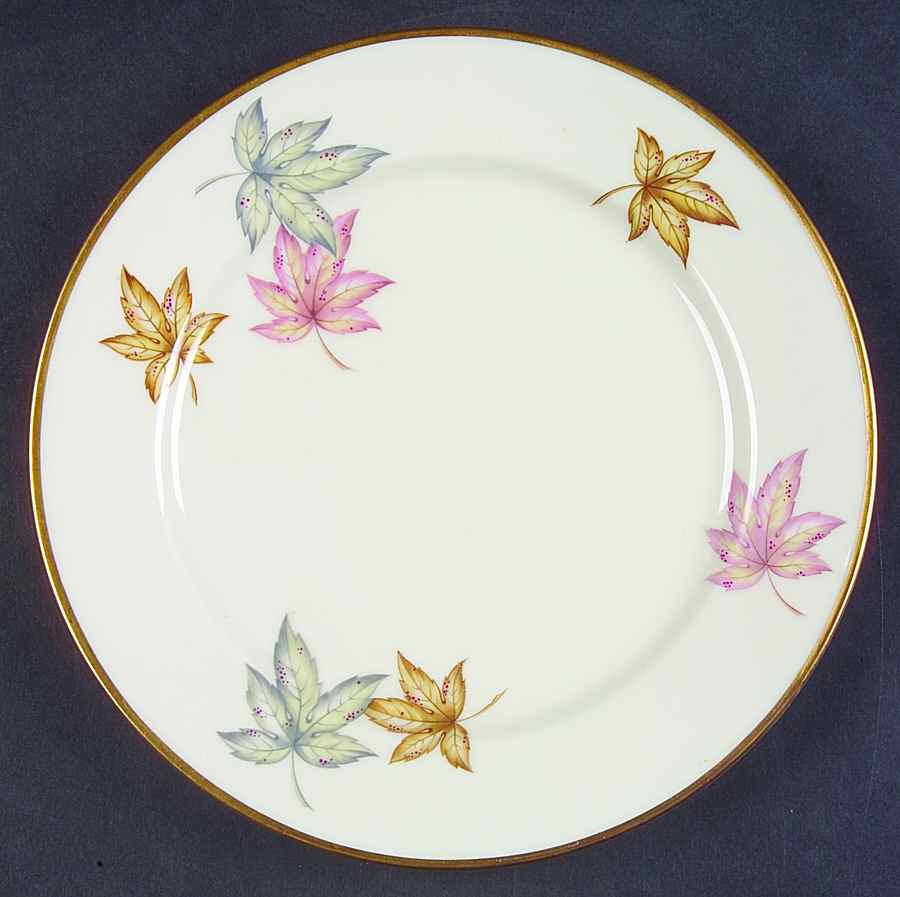 07465 Salad Plate by Thomas-1