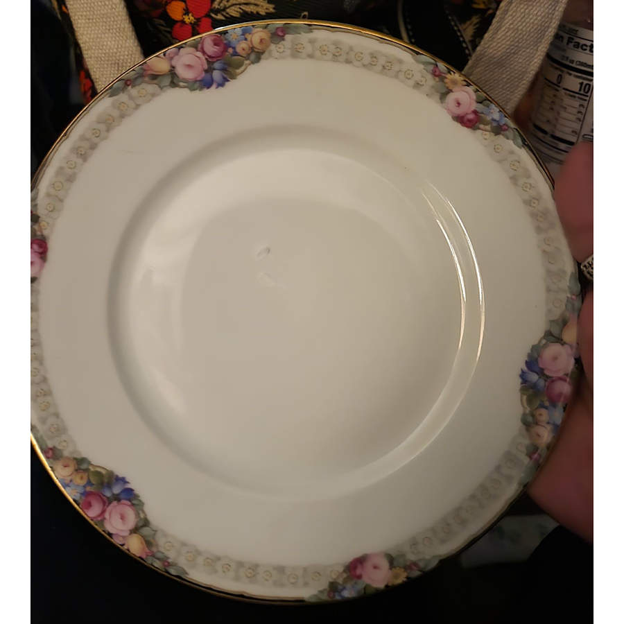 3162 Luncheon Plate by Thomas-1