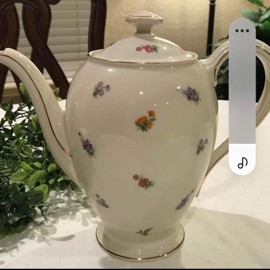 3171 Coffee Pot & Lid by Thomas-1