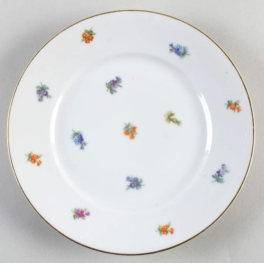 3171 Salad Plate by Thomas-1