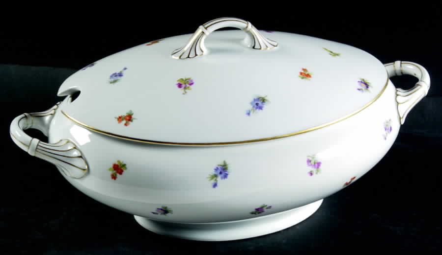 3171 Oval Tureen & Lid by Thomas-1