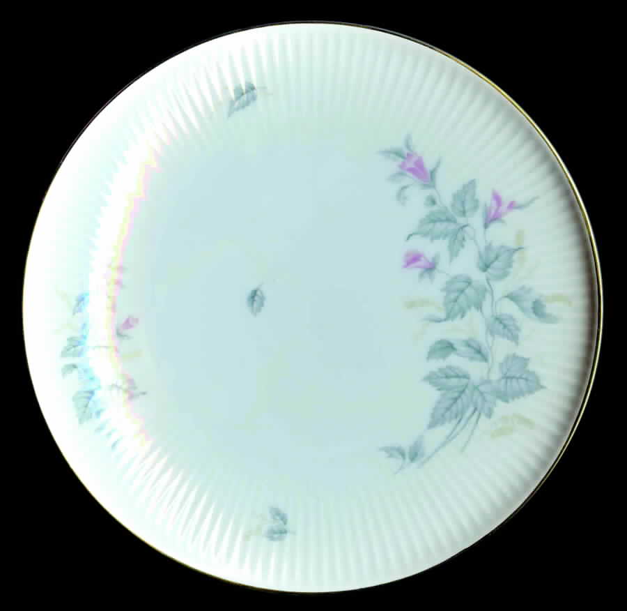 7555 Dinner Plate by Thomas-1