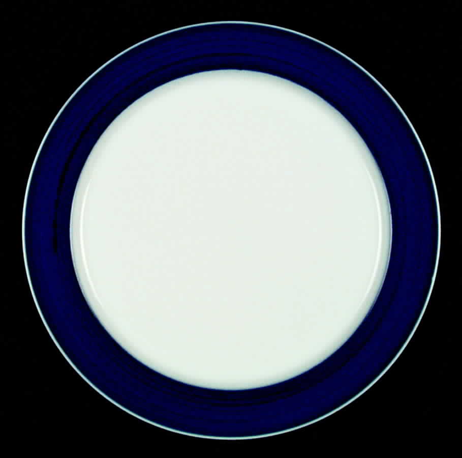 Brushed Cobalt Dinner Plate by Thomas-1