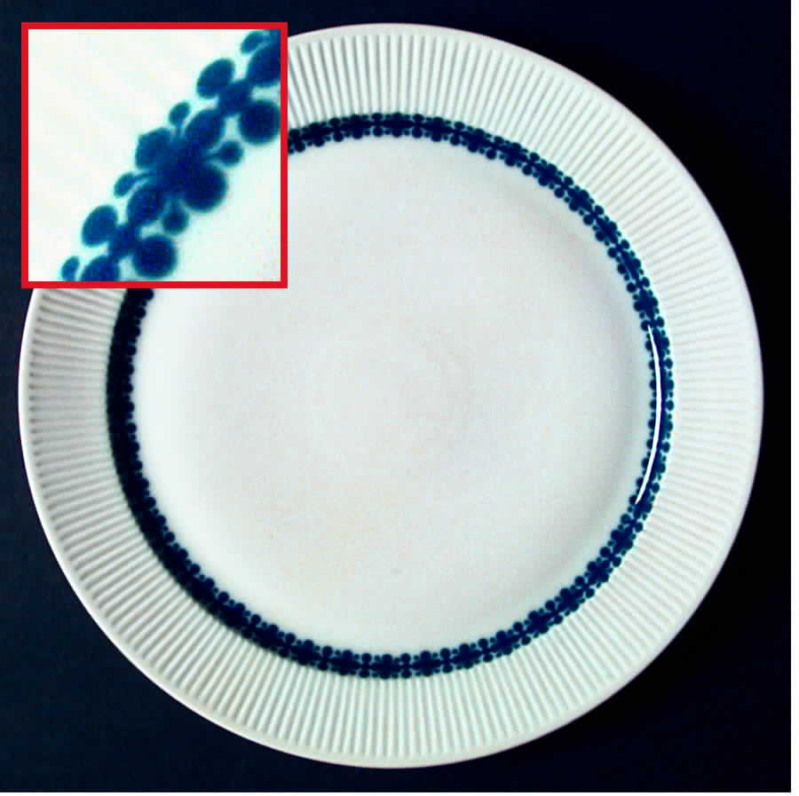 Calypso Dinner Plate by Thomas-1