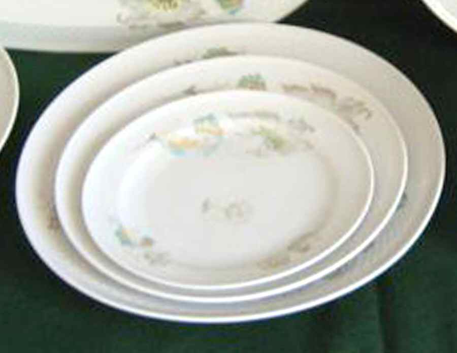 Charmont (Embossed Rim) Luncheon Plate by Thomas-1
