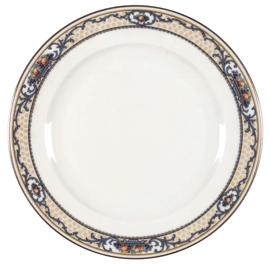 Delmonte Dinner Plate by Thomas-1