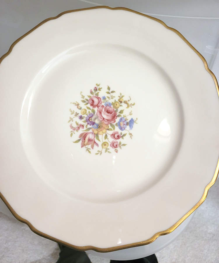 Evelyn Dinner Plate by Thomas-1