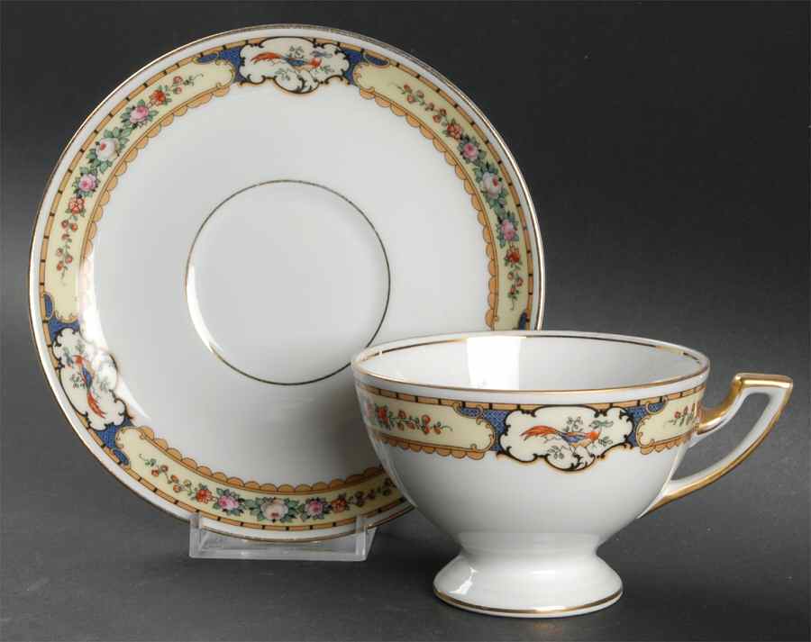 Golden Pheasant Footed Cup & Saucer Set by Thomas-1
