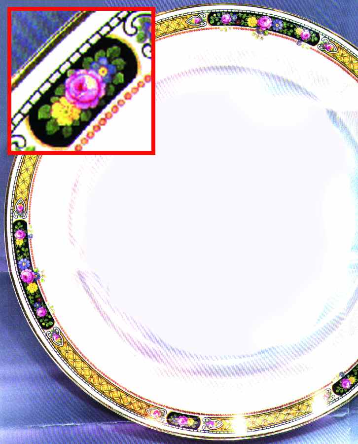Ivy Dinner Plate by Thomas-1
