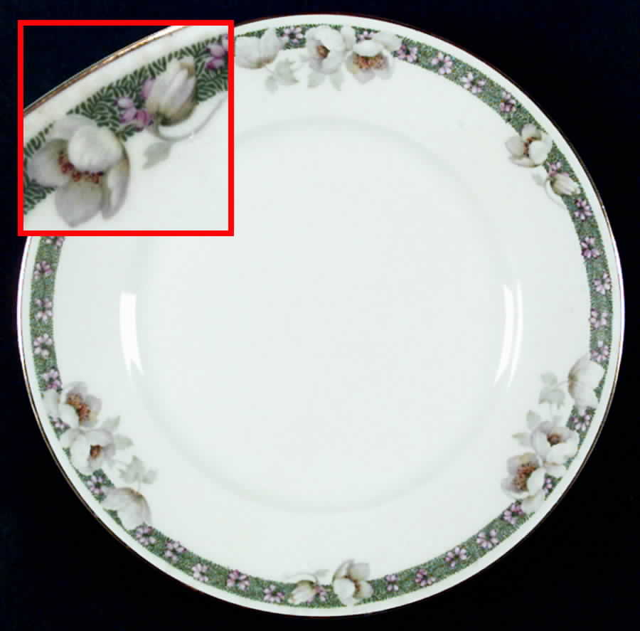 Jasmine Dinner Plate by Thomas-1
