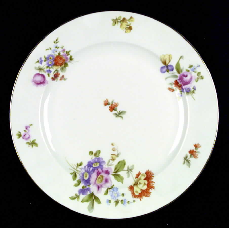 Lakewood Dinner Plate by Thomas-1