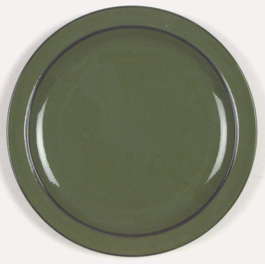 Lime Dinner Plate by Thomas-1