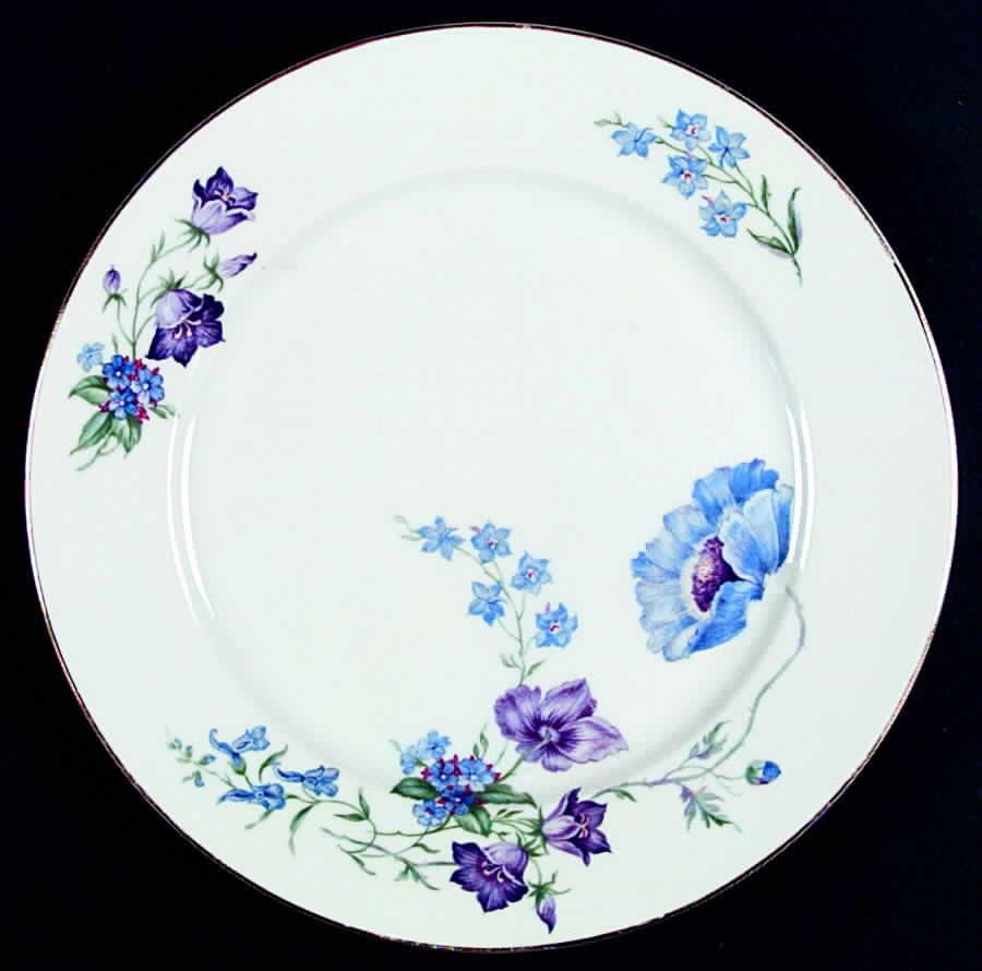 Riviera Dinner Plate by Thomas-1