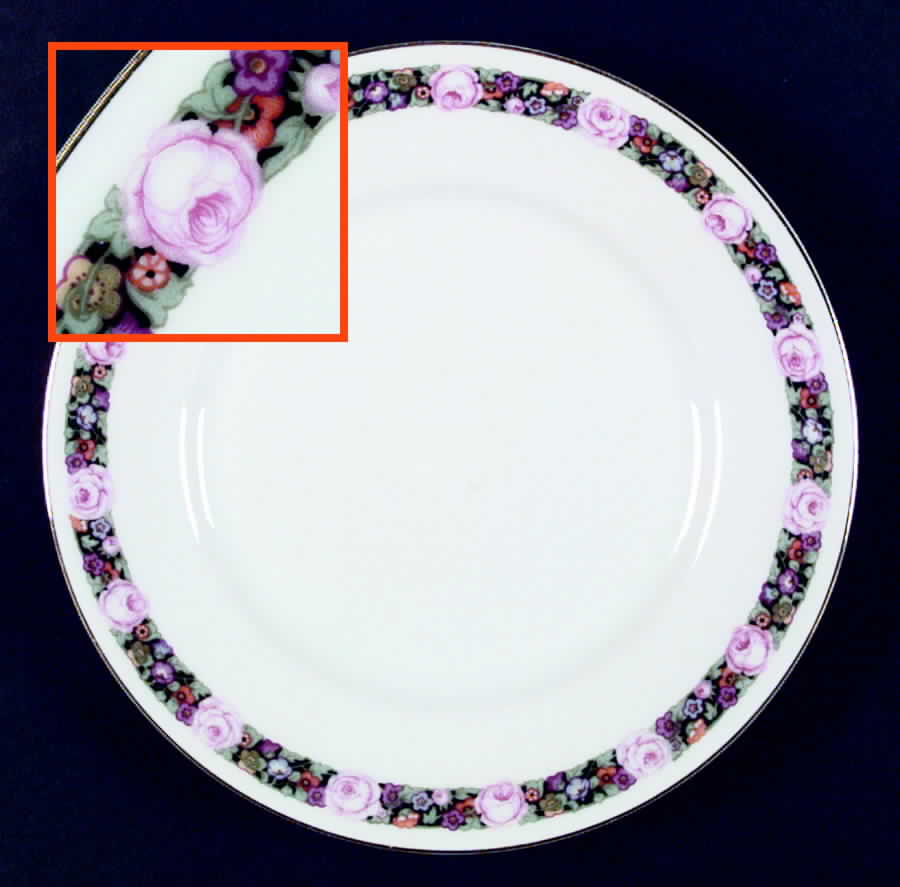 Rochester Dinner Plate by Thomas-1