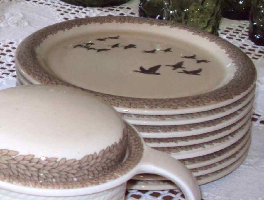 Silvana Dinner Plate by Thomas-1