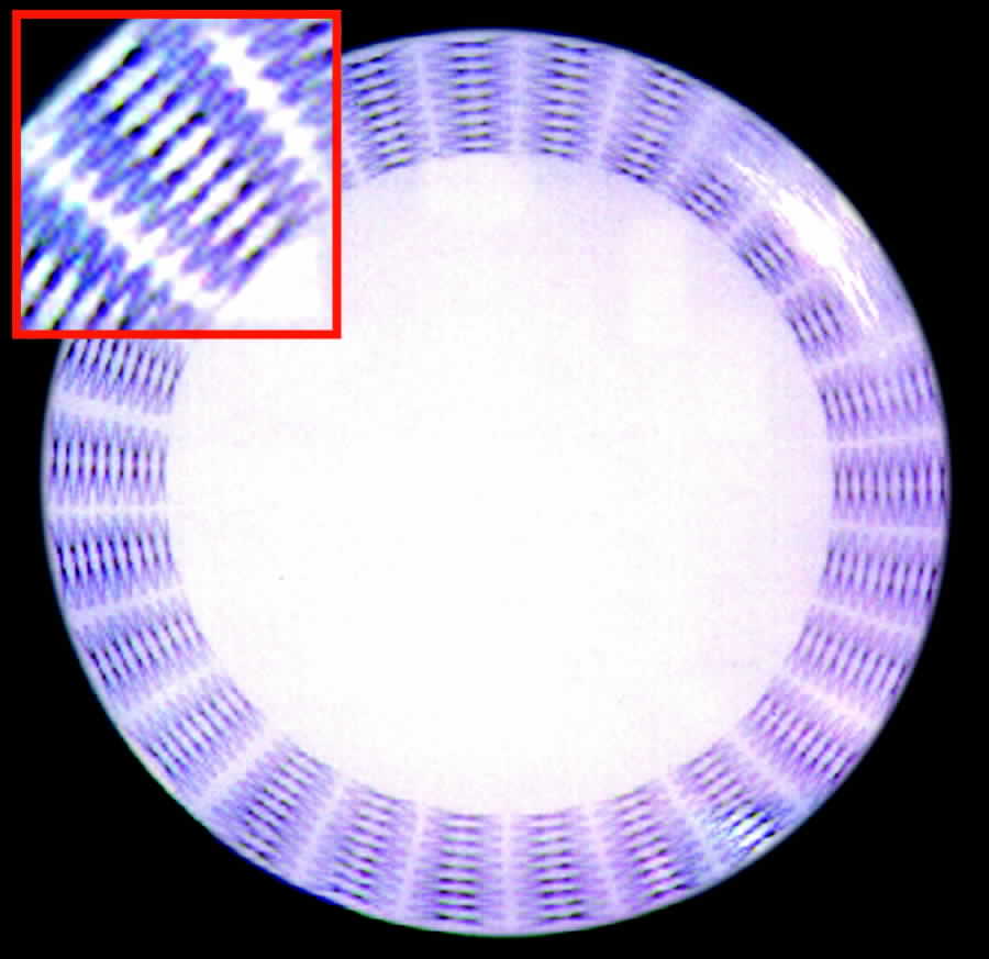 THO45 Dinner Plate by Thomas-1