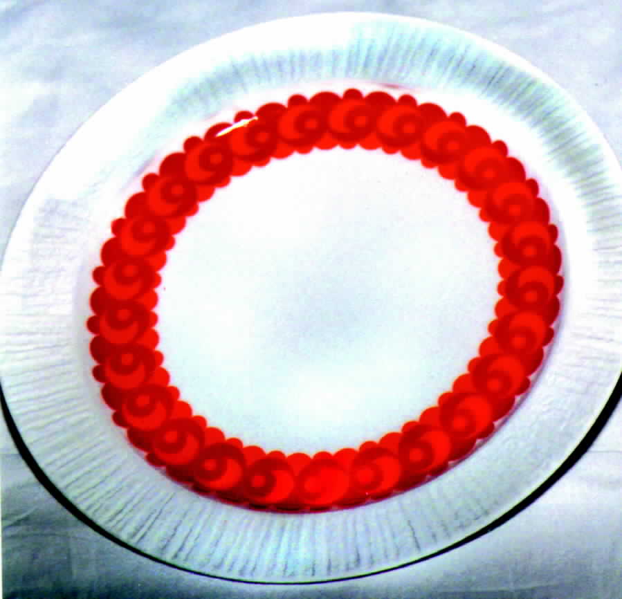 THO47 Dinner Plate by Thomas-1