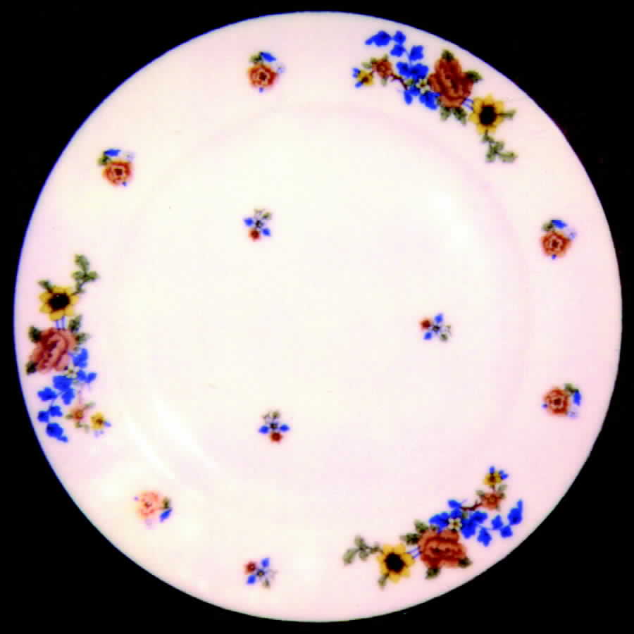 THO50 Dinner Plate by Thomas-1