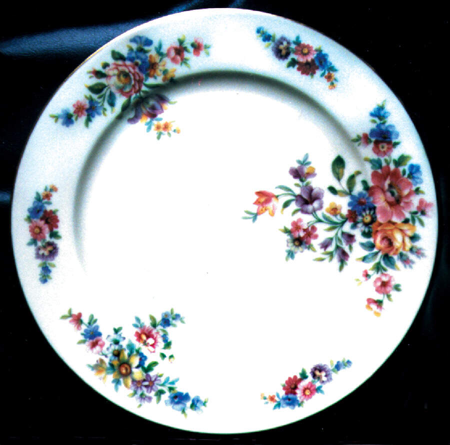 THO54 Dinner Plate by Thomas-1