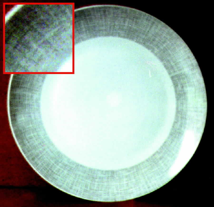 THO55 Dinner Plate by Thomas-1