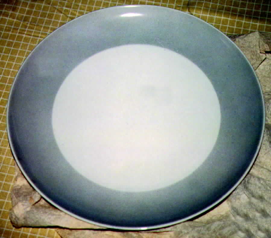 THO56 Dinner Plate by Thomas-1