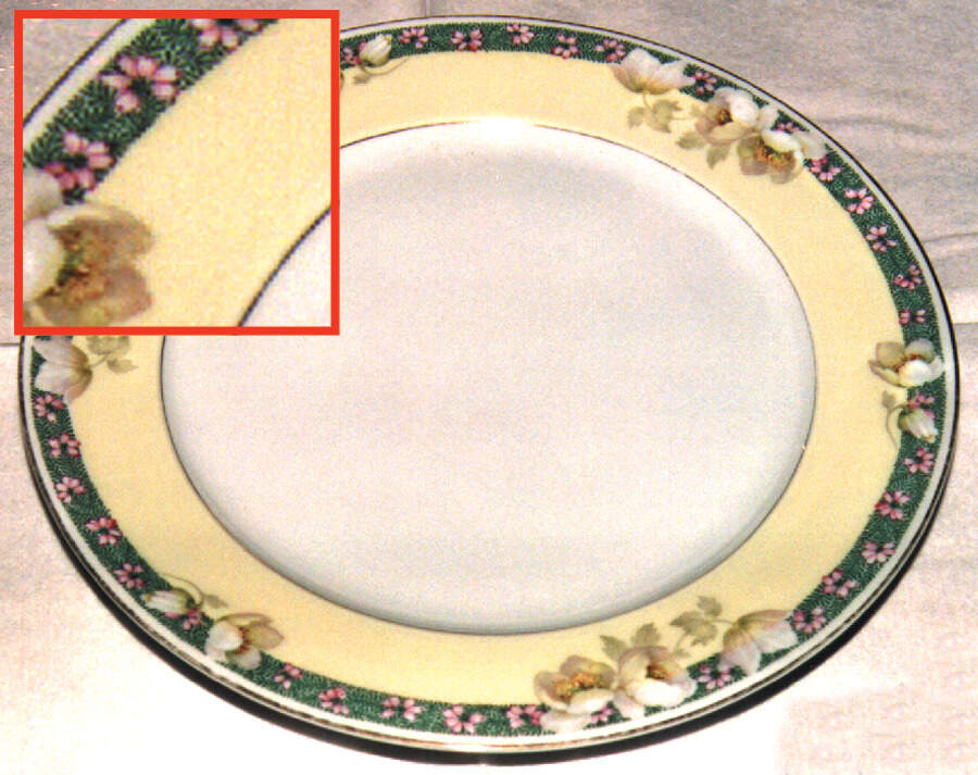 THO64 Dinner Plate by Thomas-1
