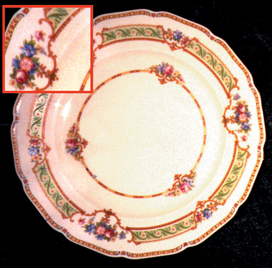 THO71 Dinner Plate by Thomas-1