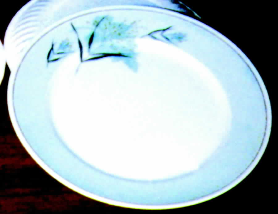 THO72 Dinner Plate by Thomas-1