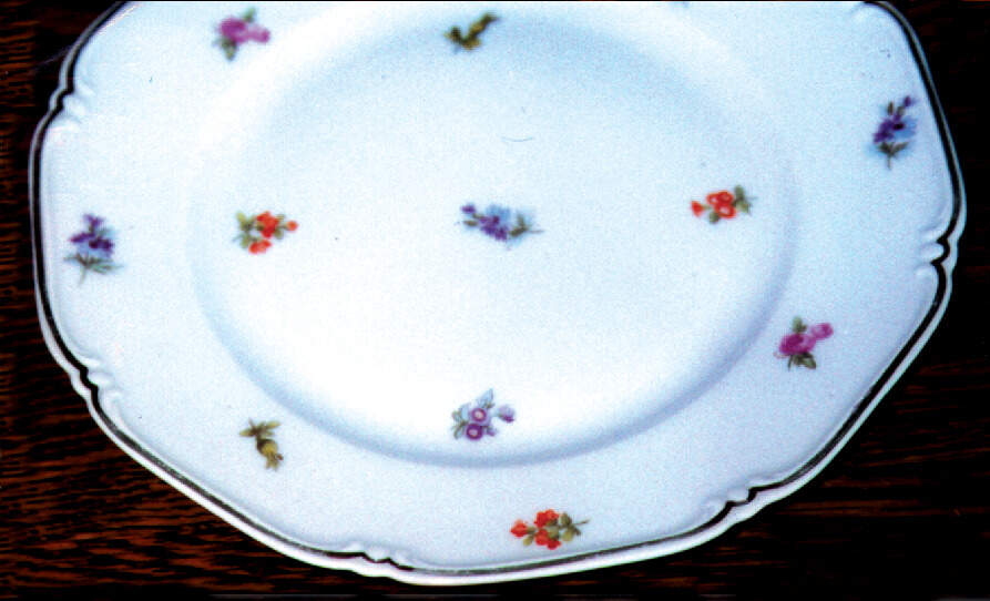 THO74 Dinner Plate by Thomas-1