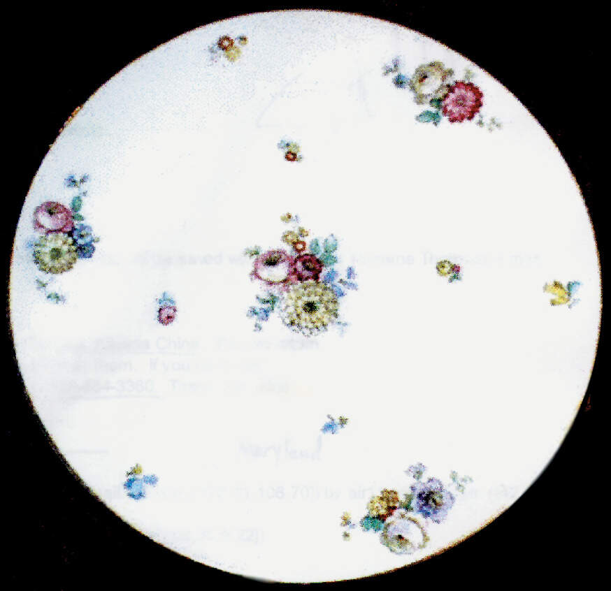 THO92 Dinner Plate by Thomas-1