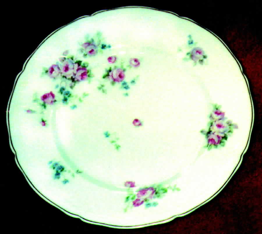 THU51 Dinner Plate by Thun-1