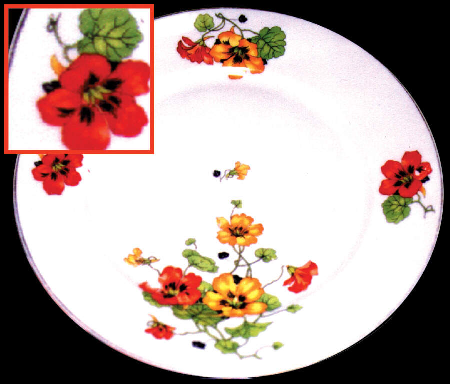 THU60 Dinner Plate by Thun-1
