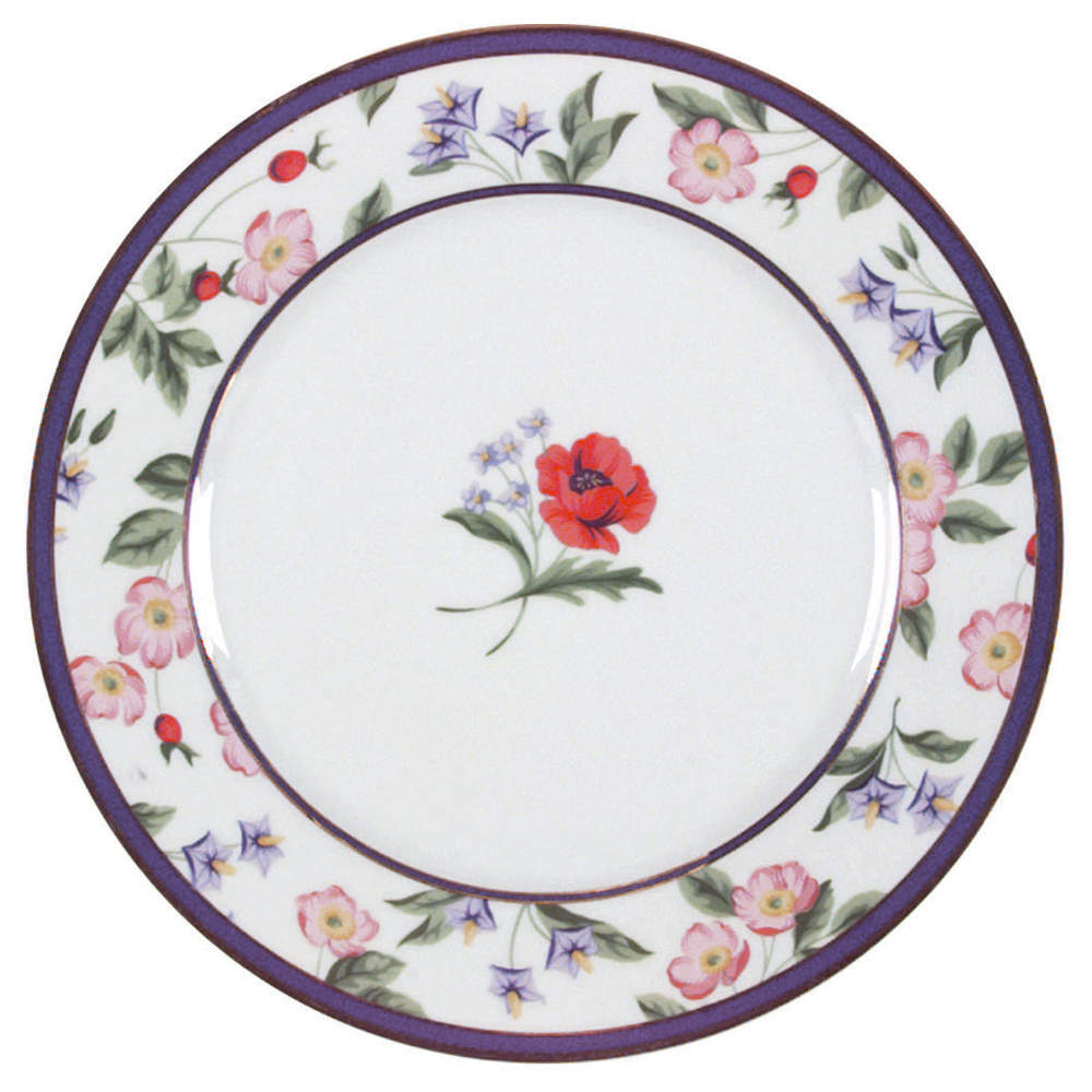 American Garden (France) Accent Salad/Dessert Plate by Tiffany-1