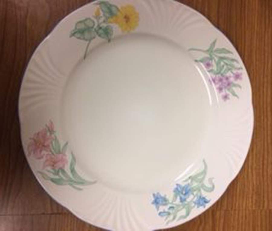Arbor Time Dinner Plate by Tienshan-1