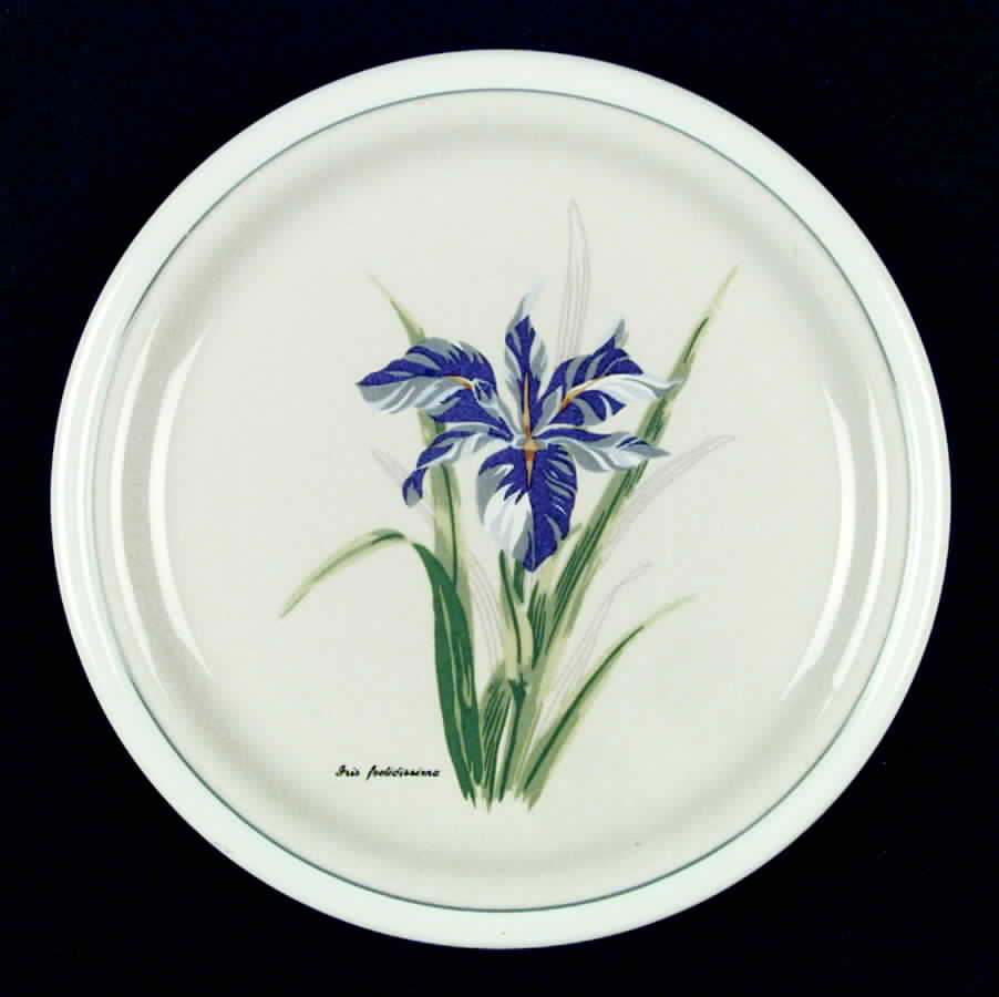 Botanical Garden Dinner Plate by Tienshan-1