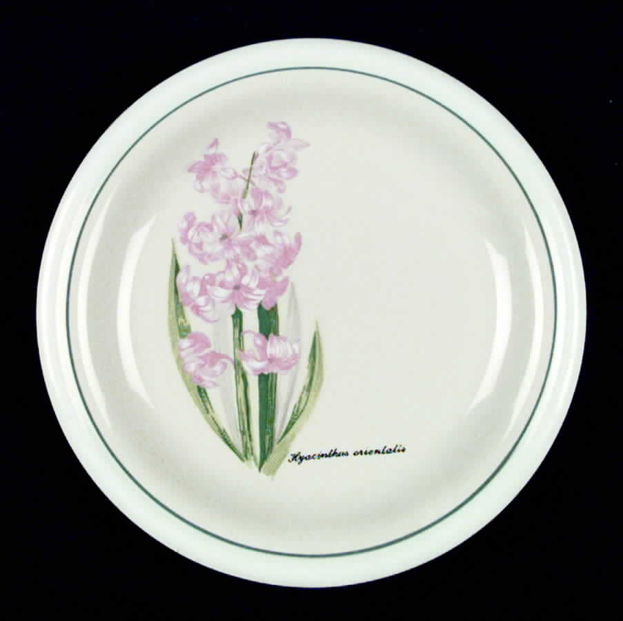 Botanical Garden Salad Plate by Tienshan-1