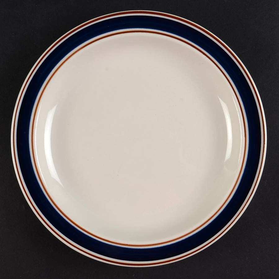 Halo Blue Salad Plate by Tienshan-1