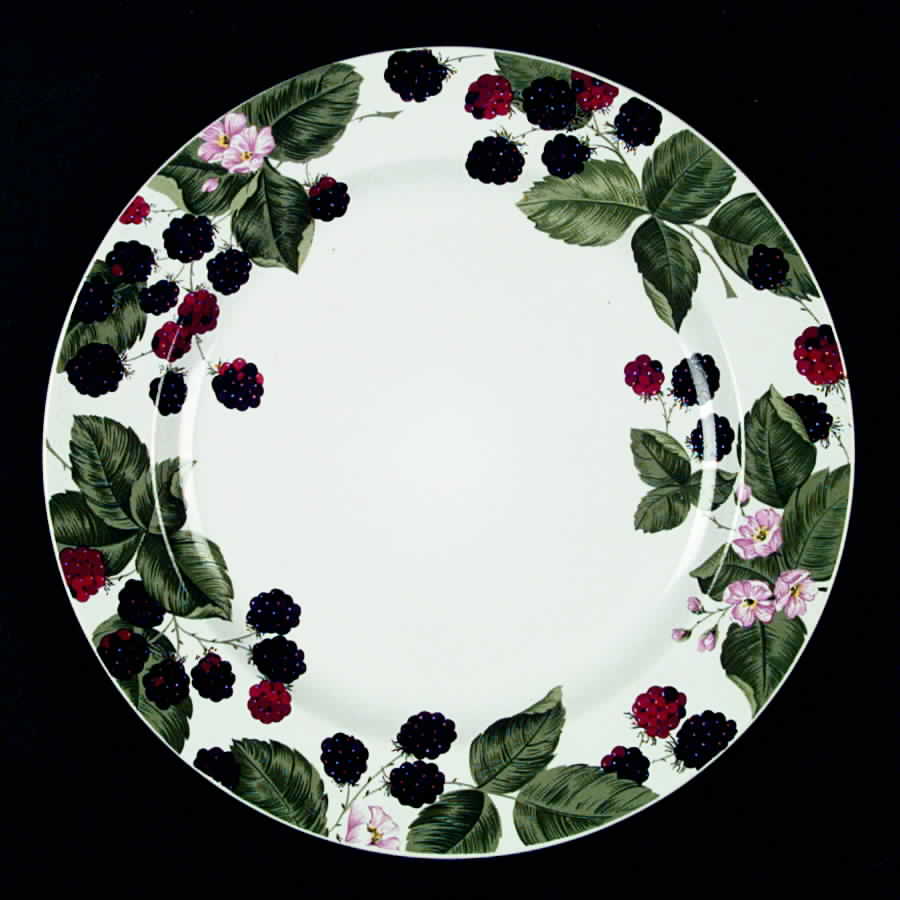 Raspberry Social Dinner Plate by Tienshan-1
